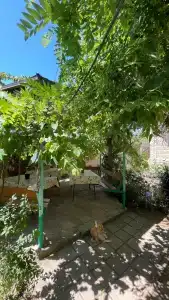 КристОля - 47