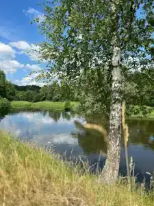 Отдых Без суеты - 10