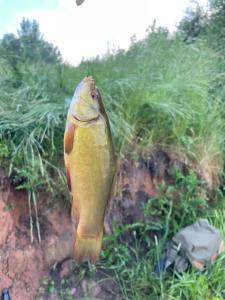 Изначальное - 53