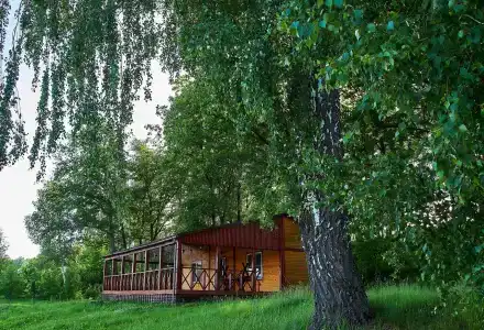 Белые камни - 15