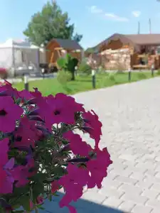 Мордасово - 41