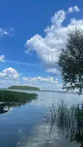 ГаммаСофт - 35