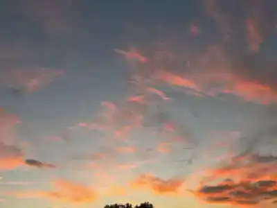 Фея 2 - 95