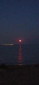 Место Встречи - 44