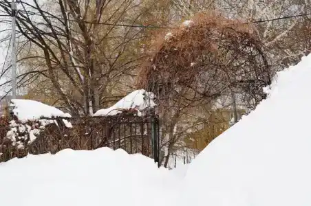 Атаманский хутор - 33