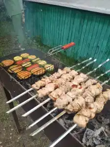 Дуб Зеленый - 7