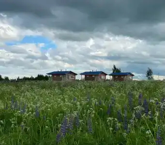 ПолеДом - 54