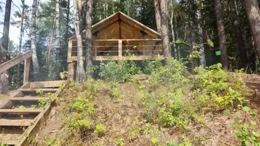 Telecamp - 50