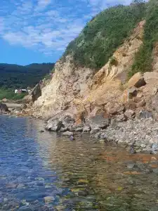 Зубарь - 10