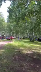 Линевский берег - 85