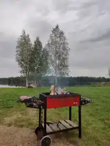 Амелия.Дача - 9