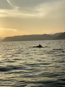 Таврида bnb - 19