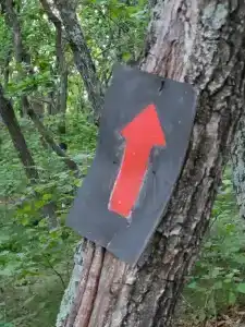 Уютный берег - 47