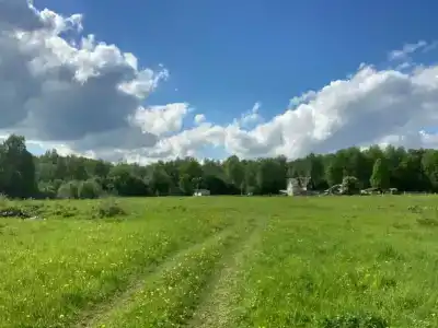 Бородино - 15