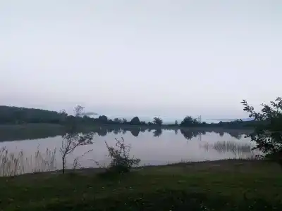 Скелепарк - 77