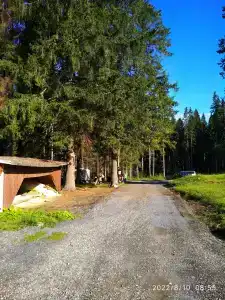 Лесная Поляна - 5