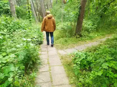 Дюны - 33
