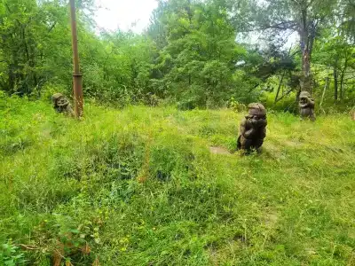 Дюны - 24