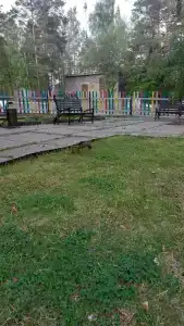 Соколиный камень - 25