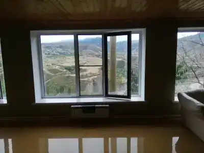 Пение птиц - 55