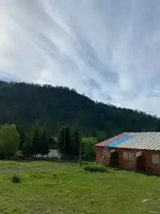 Маральник Айхал - 13