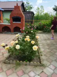 Сибирь - 30