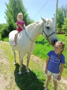 Ладное - 5