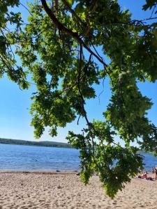 Металлист - 71