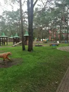 Мечетлинский - 11