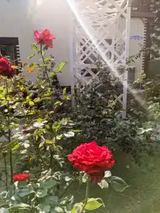 Тихая Гавань - 87