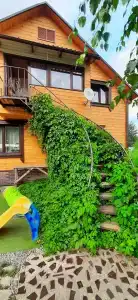 Белый Аист - 29