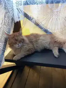 Четыре сезона - 53