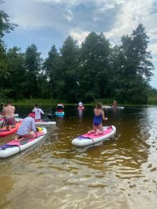 Жемчужина леса - 34