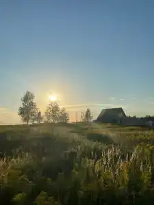 ПолеДом - 81