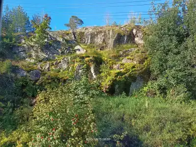 Благодать - 61