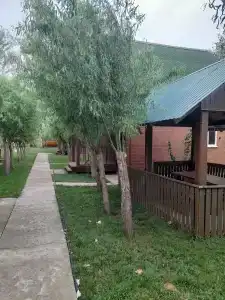 Мечта - 24