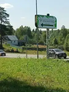 Березовая роща - 2