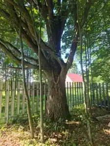 Выродово-Клуб - 9