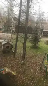 Чайка - 33