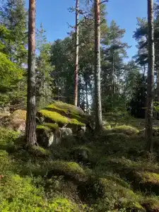 Ravansaari - 35