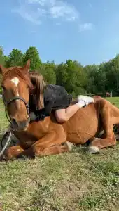 Бородино - 0