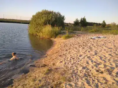 Белый лис - 3
