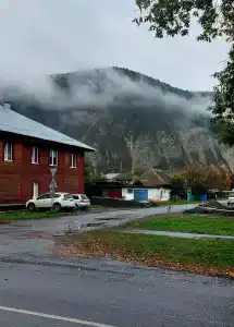 Кедр - 19