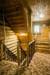 Русский лес - 71