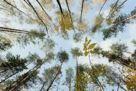 4 Сезона - Нефтяник - 34