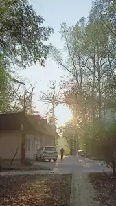 Комарово клуб - 75
