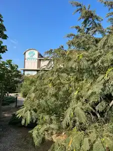 Бирюзовая Бухта - 81