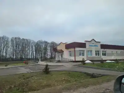 Росинка - 49