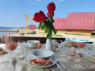 Барабуля - 12