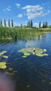 Ласточка - 34